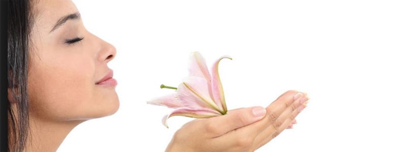 ¿A qué huele tu pyme? El marketing sensorial: vende con los cinco sentidos