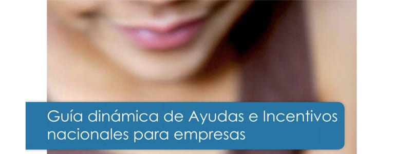 ¿Buscas algún tipo de ayuda pública para tu pyme?  ¡Consulta este enlace!
