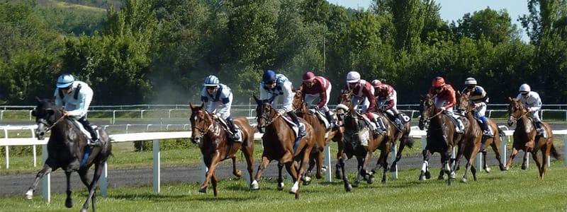Las apuestas deportivas, un sector que mueve en España más de 1.300 millones de euros