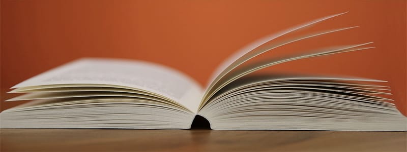 Los 5 libros que todo emprendedor debería leer este verano