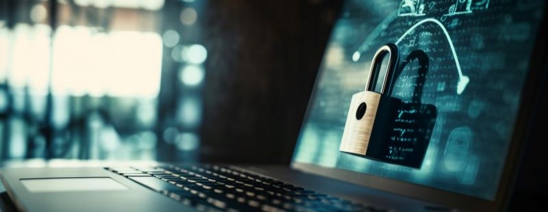 El secuestro de datos
