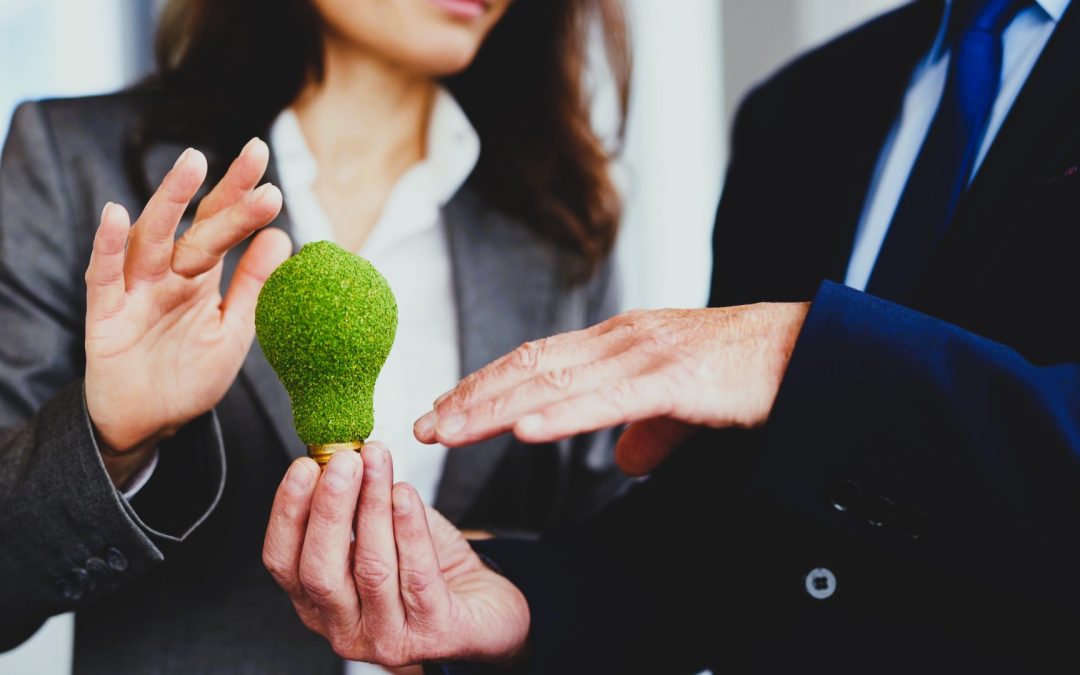 Sostenibilidad en las pymes: ¿Cómo implementar practicas sostenibles en tu empresa?