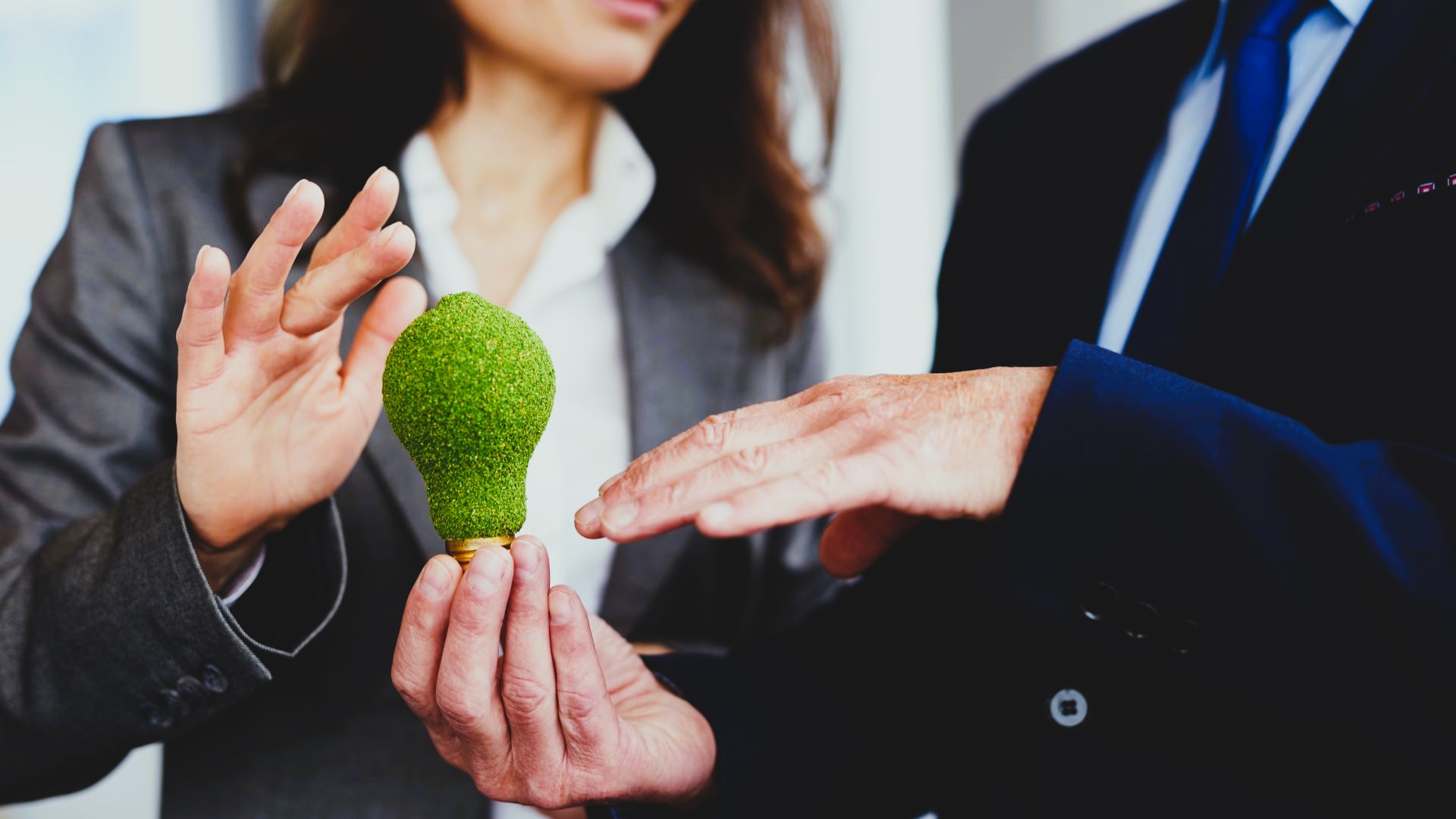 Sostenibilidad en las pymes: ¿Cómo implementar practicas sostenibles en tu empresa?