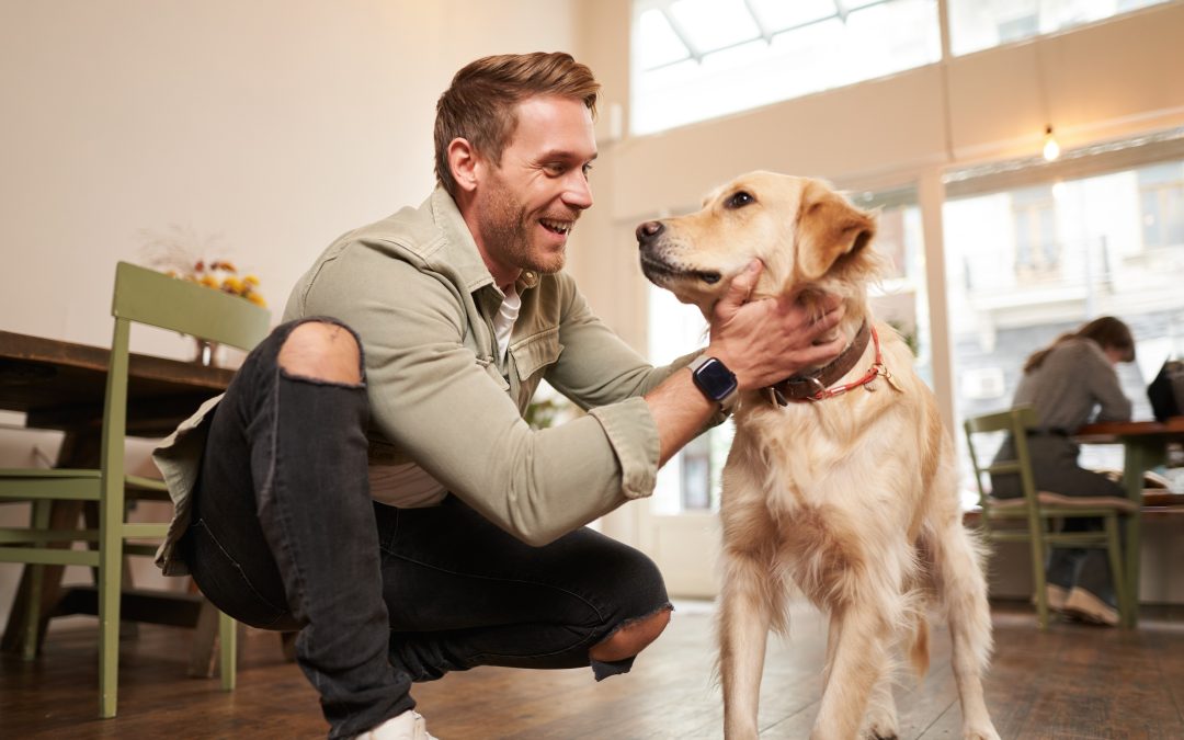 El boom del negocio pet-friendly: oportunidades reales para las pymes españolas