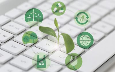 La gran pregunta: ¿es obligatorio o no el informe de sostenibilidad?